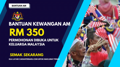 Bantuan Kewangan AM RM350 Untuk Keluarga Malaysia