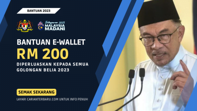 Bantuan E-Wallet RM200 Untuk Golongan Belia