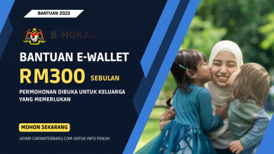 Bantuan E-Wallet BINGKAS RM300 Sebulan