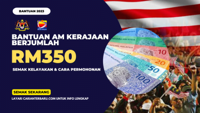 Bantuan Am Kerajaan RM350 : Cara Permohonan