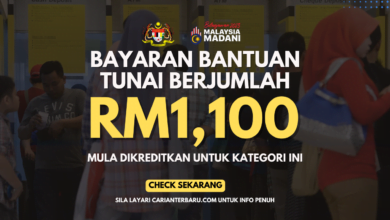 Bayaran Bantuan Tunai RM1100 Dikreditkan Untuk Kategori Ini