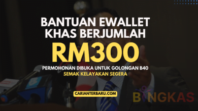 BINGKAS : Bantuan EWallet RM300 Ditawarkan Kepada B40