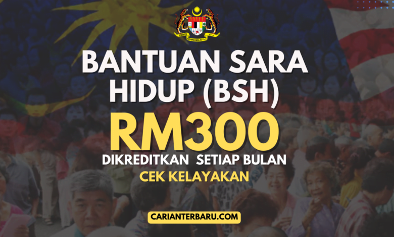 Bantuan Sara Hidup (BSH) RM300 Sebulan : Cek Kelayakan