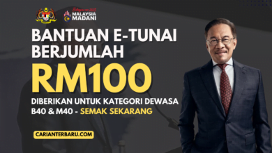 Bantuan E-Tunai RM100 Percuma : Kategori Dewasa B40 & M40