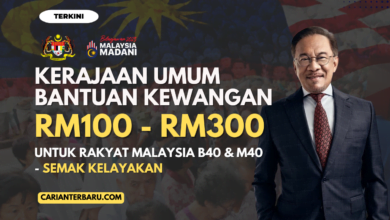 Bantuan Kewangan RM100 - RM300 : Untuk Kategori B40 & M40