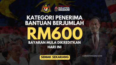 Kategori Penerima Bantuan RM600 One-Off : Semak Sekarang