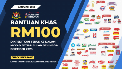 Bantuan Khas RM100 : Dikreditkan Dalam MyKad Setiap Bulan