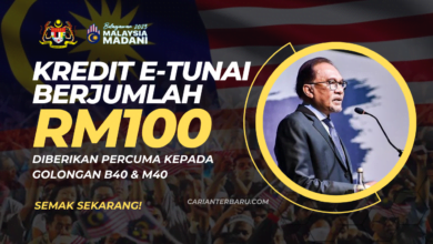 Bantuan Kredit E-Tunai RM100 : Khas Untuk Kategori B40 & M40