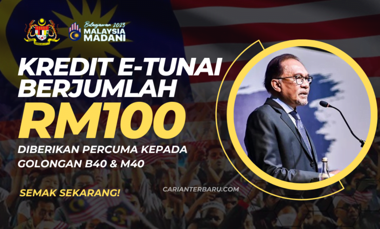 Bantuan Kredit E-Tunai RM100 : Khas Untuk Kategori B40 & M40