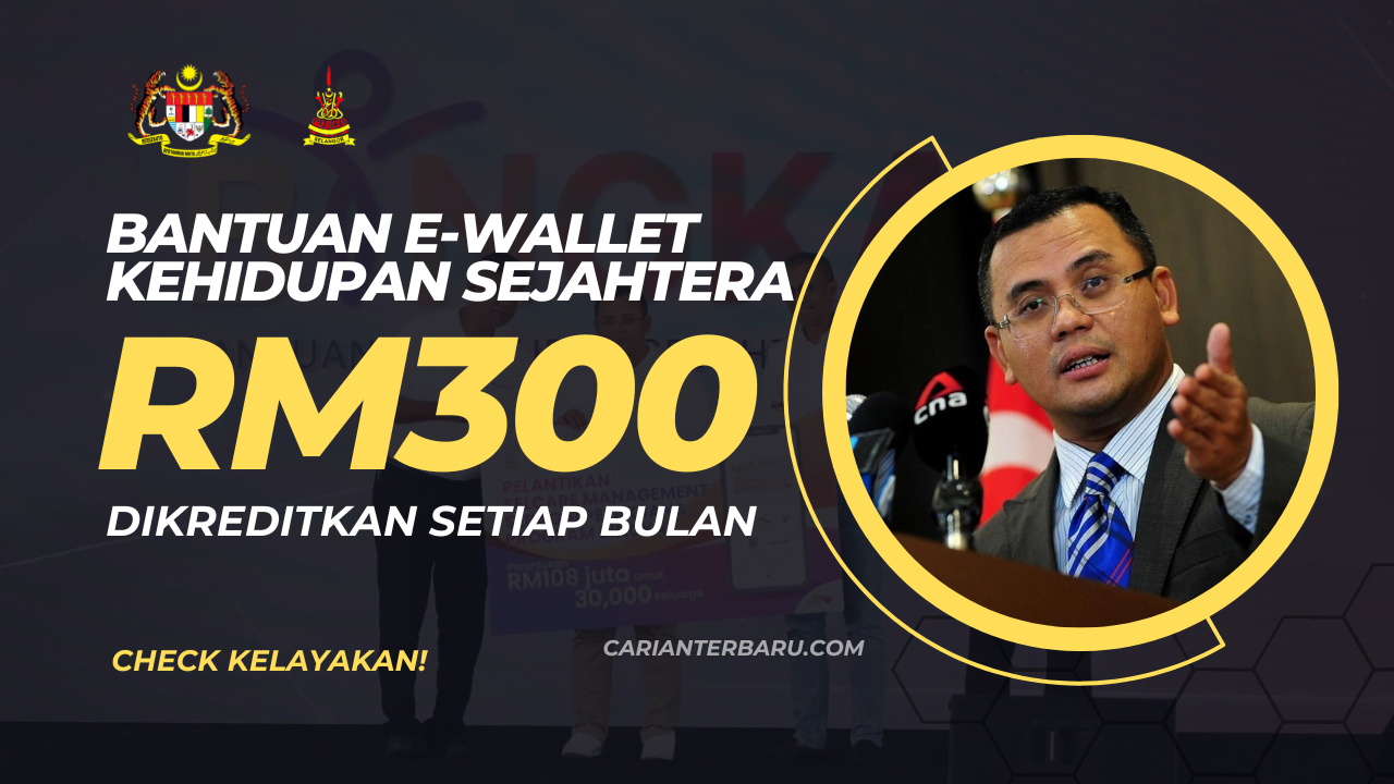 Program BINGKAS : Bantuan E-Wallet RM300 Setiap Bulan