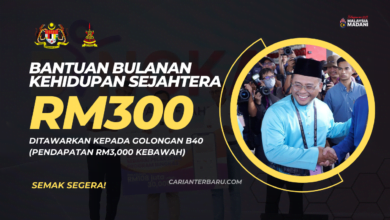 Kehidupan Sejahtera : Bantuan Bulanan Ewallet RM300 Untuk B40