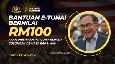 E-Tunai : Bantuan Bernilai RM100 Diberikan Bagi Kategori Dewasa