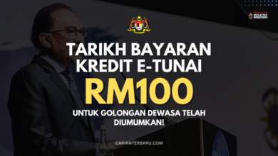 Tarikh Bayaran E-Tunai RM100 : Bantuan Untuk Golongan Dewasa