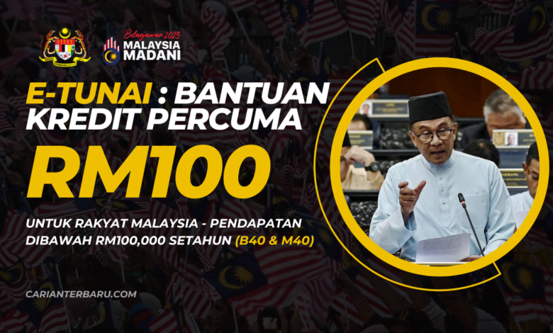 E-tunai : Bantuan Kredit RM100 Percuma Untuk Kategori Dewasa