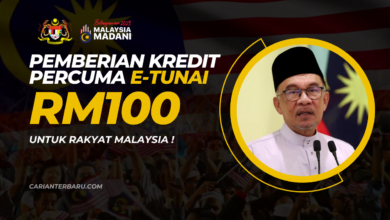 E-Tunai : Pemberian Kredit RM100 Khas Untuk Rakyat Malaysia