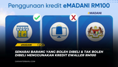 eMADANI : Senarai Barang Yang Boleh Dibeli Guna kredit RM100