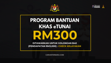 Bantuan Khas eTunai RM300 Sebulan : Untuk Golongan B40