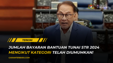 Semakan Bantuan STR 2024 : Jumlah Bayaran Mengikut Kategori