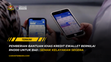 Rasmi : Pemberian Bantuan eWallet RM300 Sebulan Untuk B40