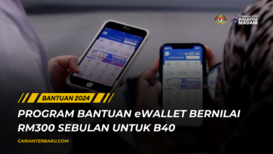 Program Bantuan eWallet 2024 : Kredit RM300 Sebulan Untuk B40