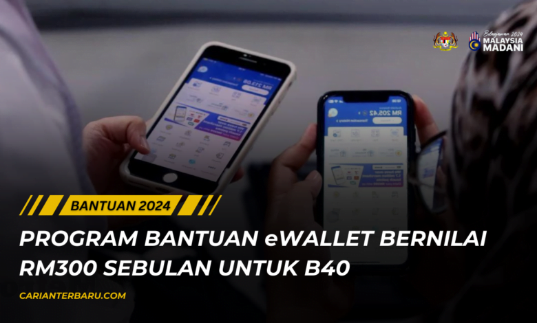 Program Bantuan eWallet 2024 : Kredit RM300 Sebulan Untuk B40