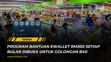 Program Bantuan Ewallet RM300 : Untuk Golongan B40