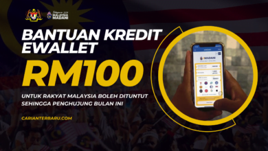 EMadani : Bantuan Kredit eWallet RM100 Untuk Rakyat Malaysia