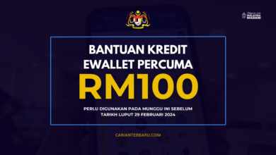 Bantuan eMadani : Kredit RM100 Perlu Digunakan Minggu Ini