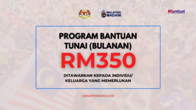 Rasmi : Bantuan Am RM350 Dikreditkan Secara Setiap Bulan