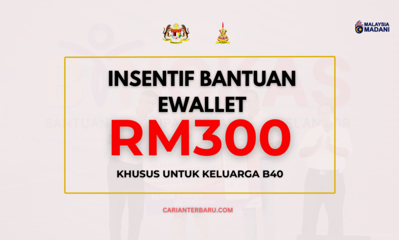 Insentif Bantuan eWallet RM300 : Khusus Untuk Keluarga B40