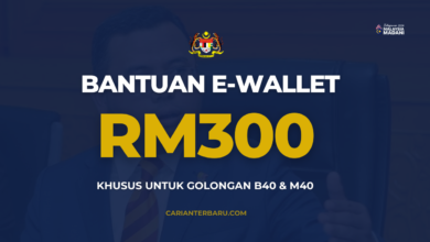 Semakan Bantuan eWallet RM300 Sebulan : Khusus Untuk B40