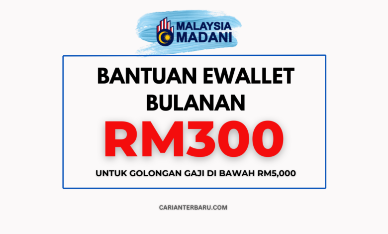 Bantuan Ewallet Bulanan RM300 Untuk Gaji Dibawah RM5,000