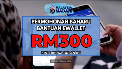 Ewallet RM300 : Permohonan Baharu Dibuka Bulan Ini