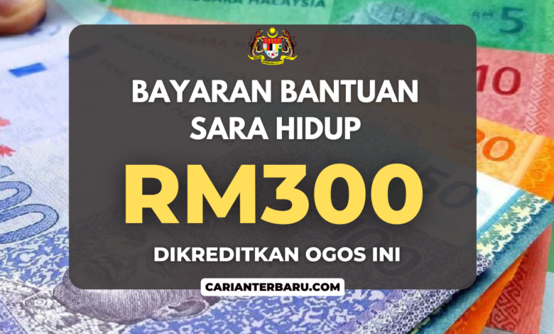 Bayaran Bantuan Sara Hidup RM300 Ogos Ini : Semak Segera