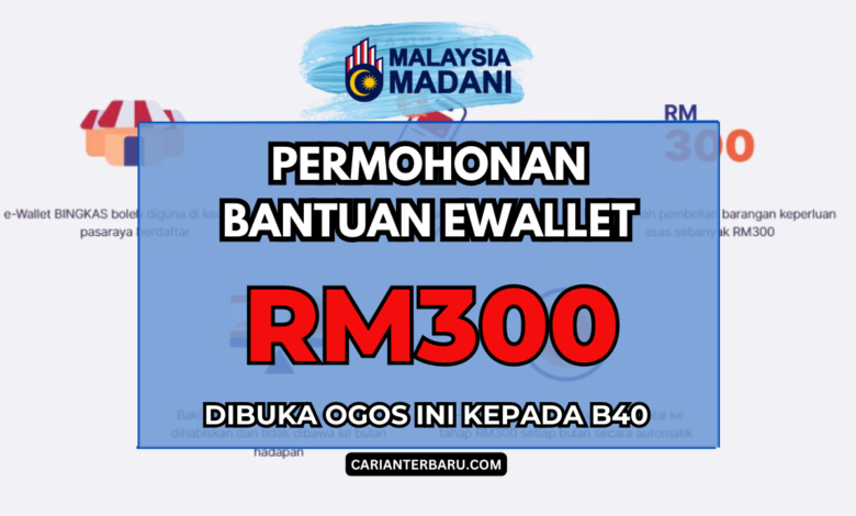 Permohonan Bantuan Ewallet RM300 : Dibuka Ogos Ini