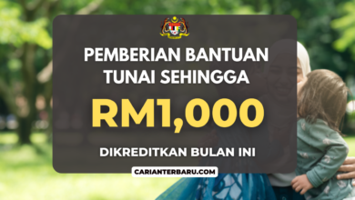 Pemberian Bantuan Kanak-Kanak RM150 - RM1,000 Ogos Ini