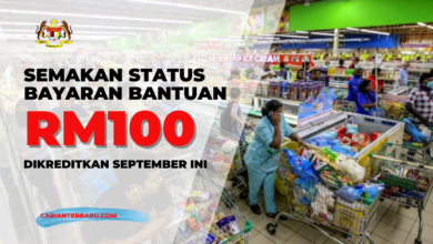 Semakan Bayaran Bantuan MySARA RM100 September Ini