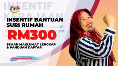 Insentif Bantuan Suri Rumah RM300 Setahun Melalui i-Suri KWSP