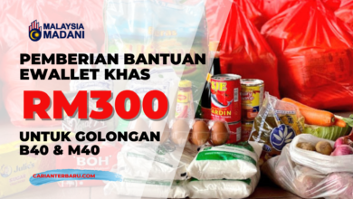 Pemberian Bantuan eWallet RM300 Sebulan - Semak Kelayakan