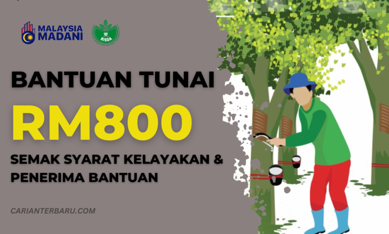 Program Bantuan Kewangan RM800 Untuk Penoreh Dan Pekebun