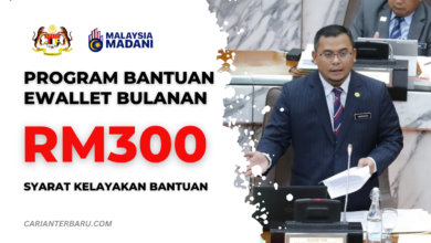 Program Bantuan Ewallet RM300 Bulanan : Syarat Kelayakan