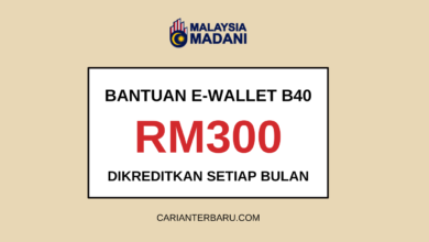 Bantuan E-Wallet B40 Berjumlah RM300 Sebulan