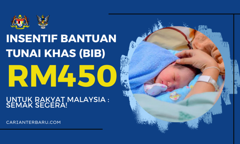 Program Bantuan Ibu Bersalin (BIB) RM450 Untuk Rakyat