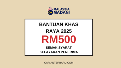 Bantuan Khas Raya 2025 : Bayaran RM250 & RM500 One-Off