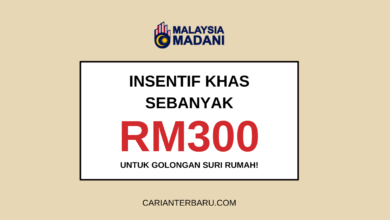 Insentif Khas Sebanyak RM300 Untuk Golongan Suri Rumah!