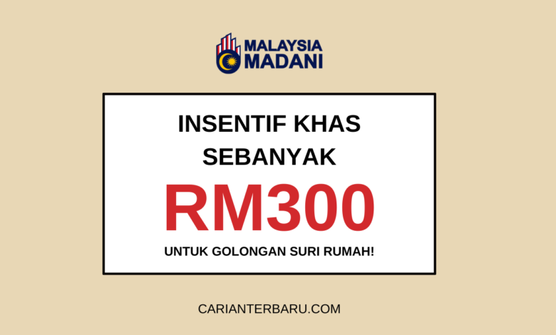 Insentif Khas Sebanyak RM300 Untuk Golongan Suri Rumah!