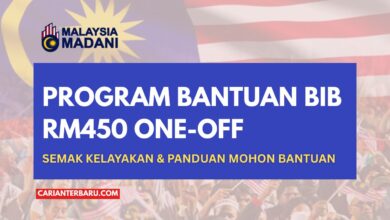 Bantuan Ibu Bersalin RM450 Boleh Dimohon Melalui Program BIB