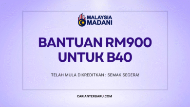 Bantuan RM900 MyKad Untuk Golongan B40 : Semak Segera
