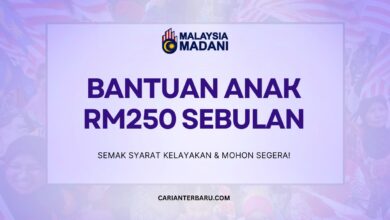 Bantuan Anak RM250 Sebulan Melalui Program BKK