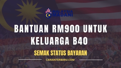 Bantuan RM900 Keluarga B40 Dalam MyKad